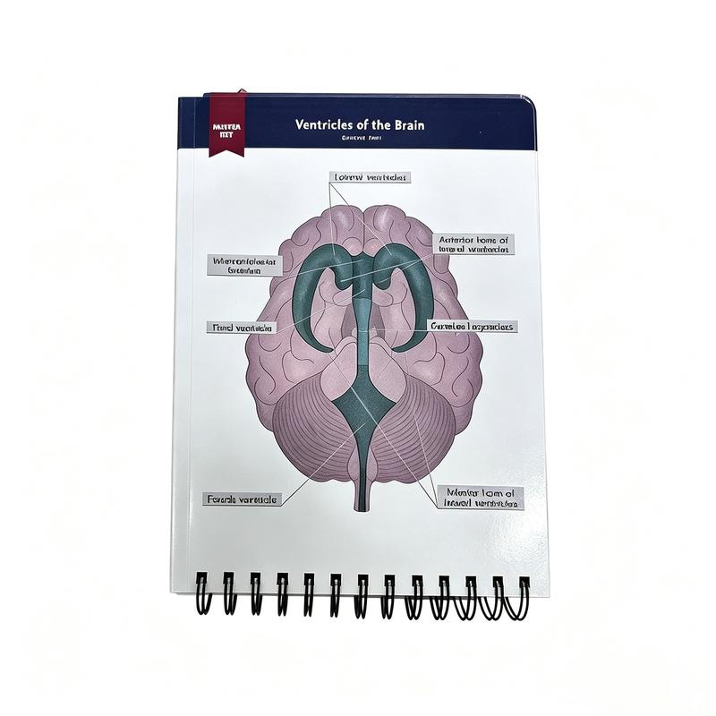 Human Anatomy Labeling Workbook – Dry Erase Study Book