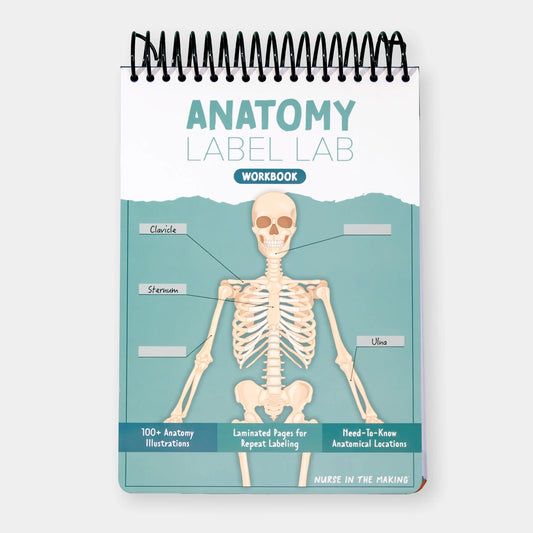 Human Anatomy Labeling Workbook – Dry Erase Study Book
