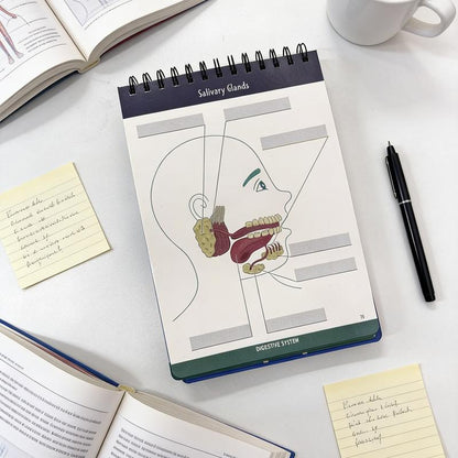 Human Anatomy Labeling Workbook – Dry Erase Study Book