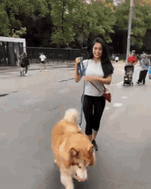 Dog enjoying a walk with its owner