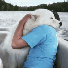 Happy dog owner spending time with their dog
